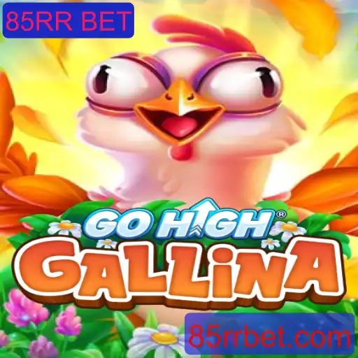GoHighGallina: Um Novo Conceito em Jogos com 85RR BET